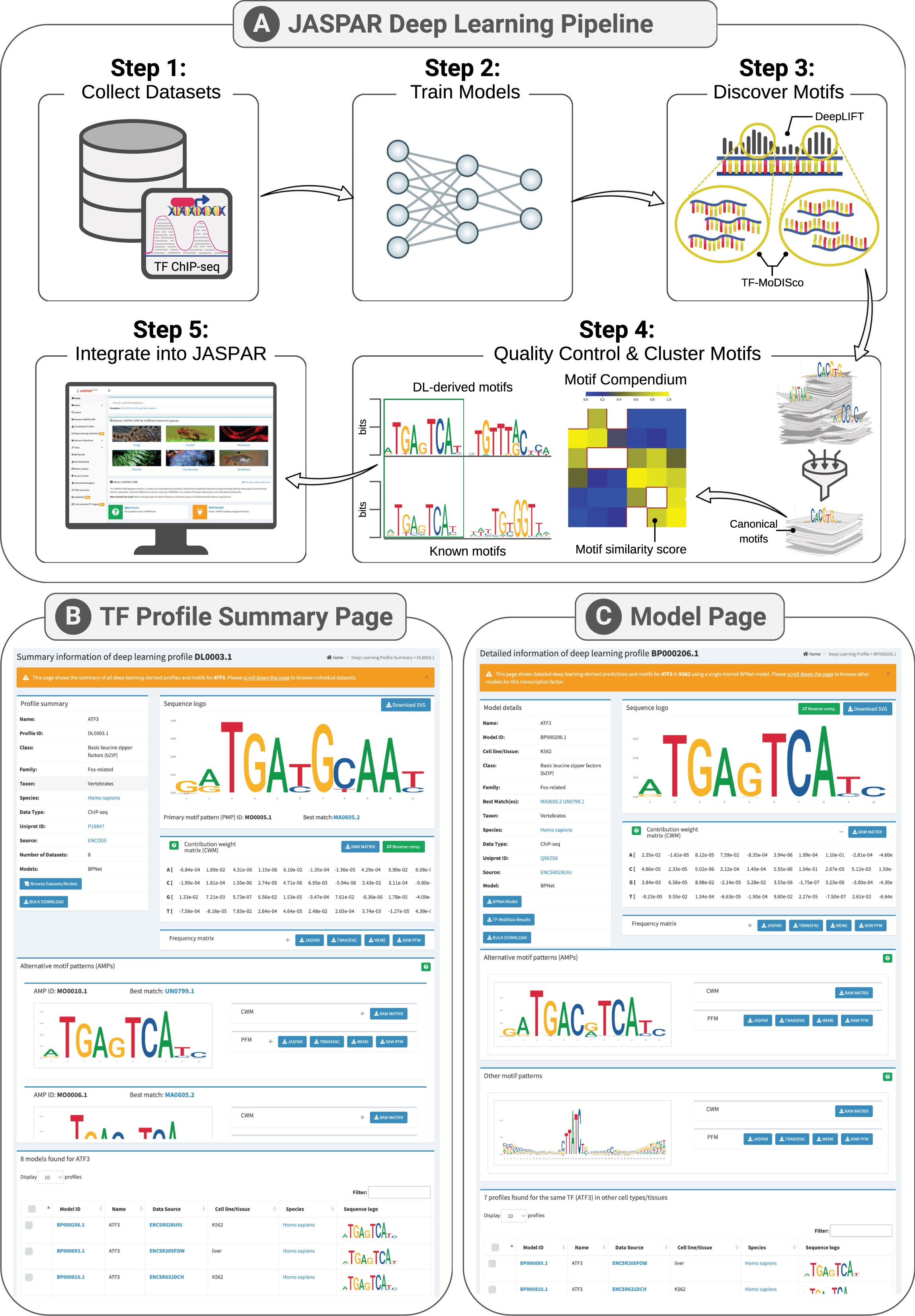 Figure: JASPAR 2026: Deep learning collection.