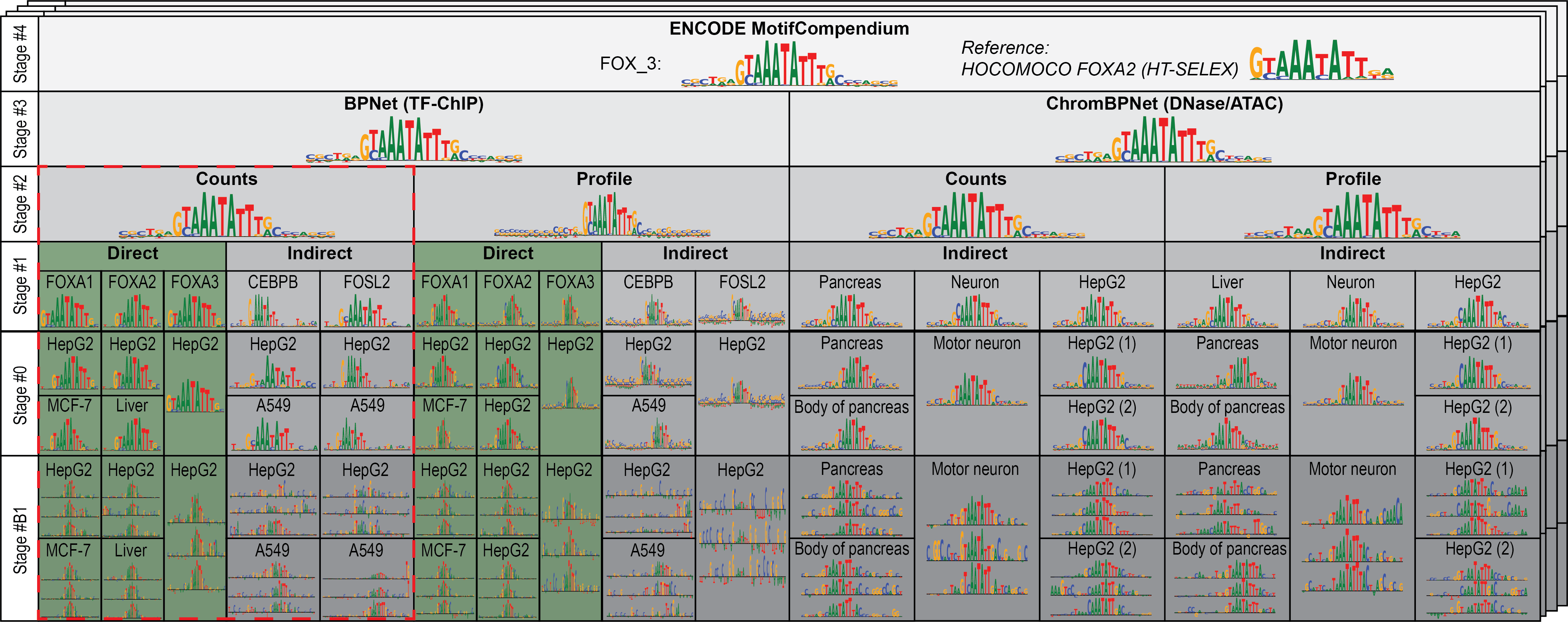 Figure: ENCODE MotifCompendium: A unified lexicon of predictive DNA sequence motifs from ENCODE transcription factor binding and chromatin accessibility assays across ENCODE.