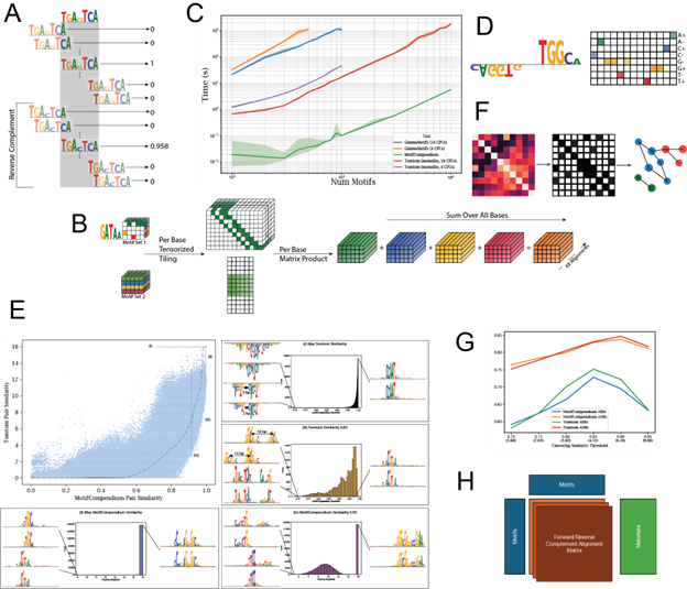 Figure: MotifCompendium: A GPU-accelerated Python package for clustering, annotating, and managing motifs, at scale.