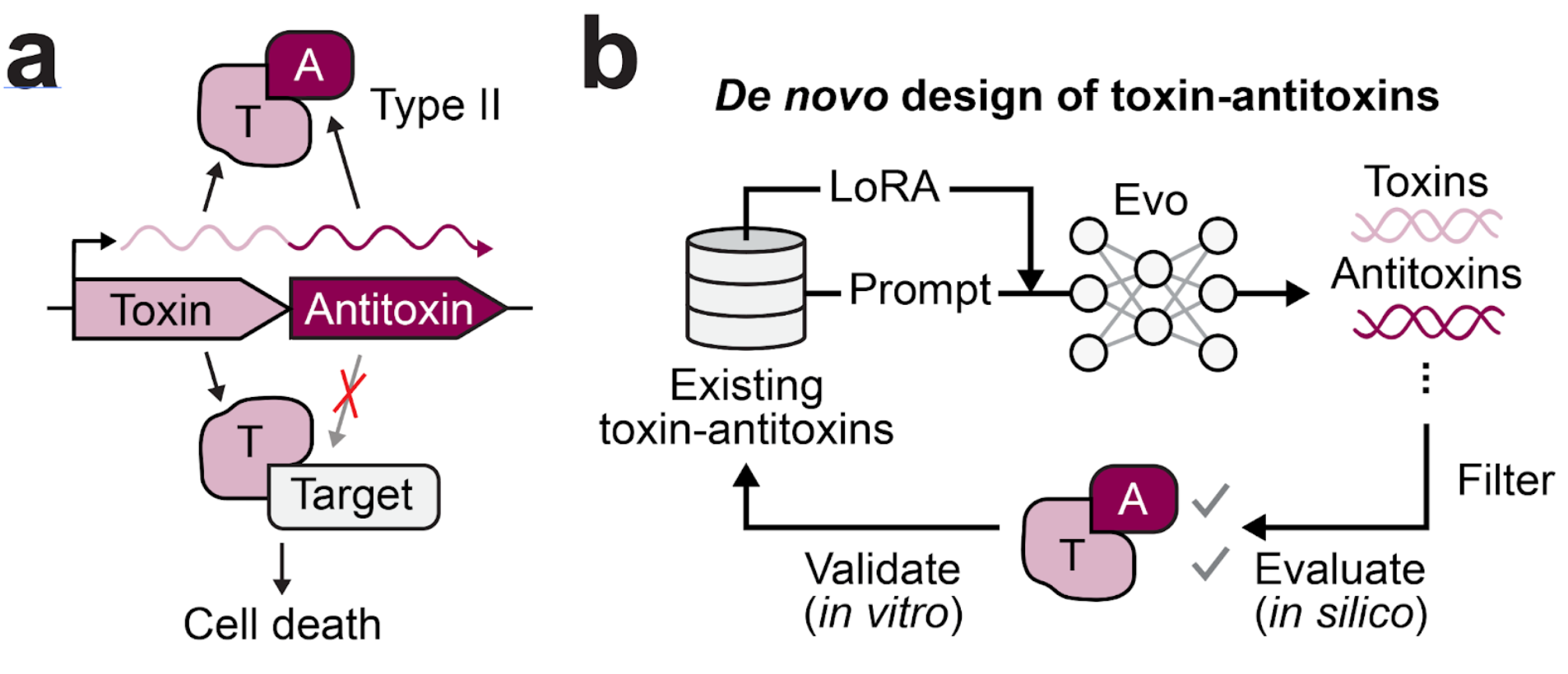Figure: Strategy for de novo design of Type II toxin-antitoxins using a genomic foundation model.